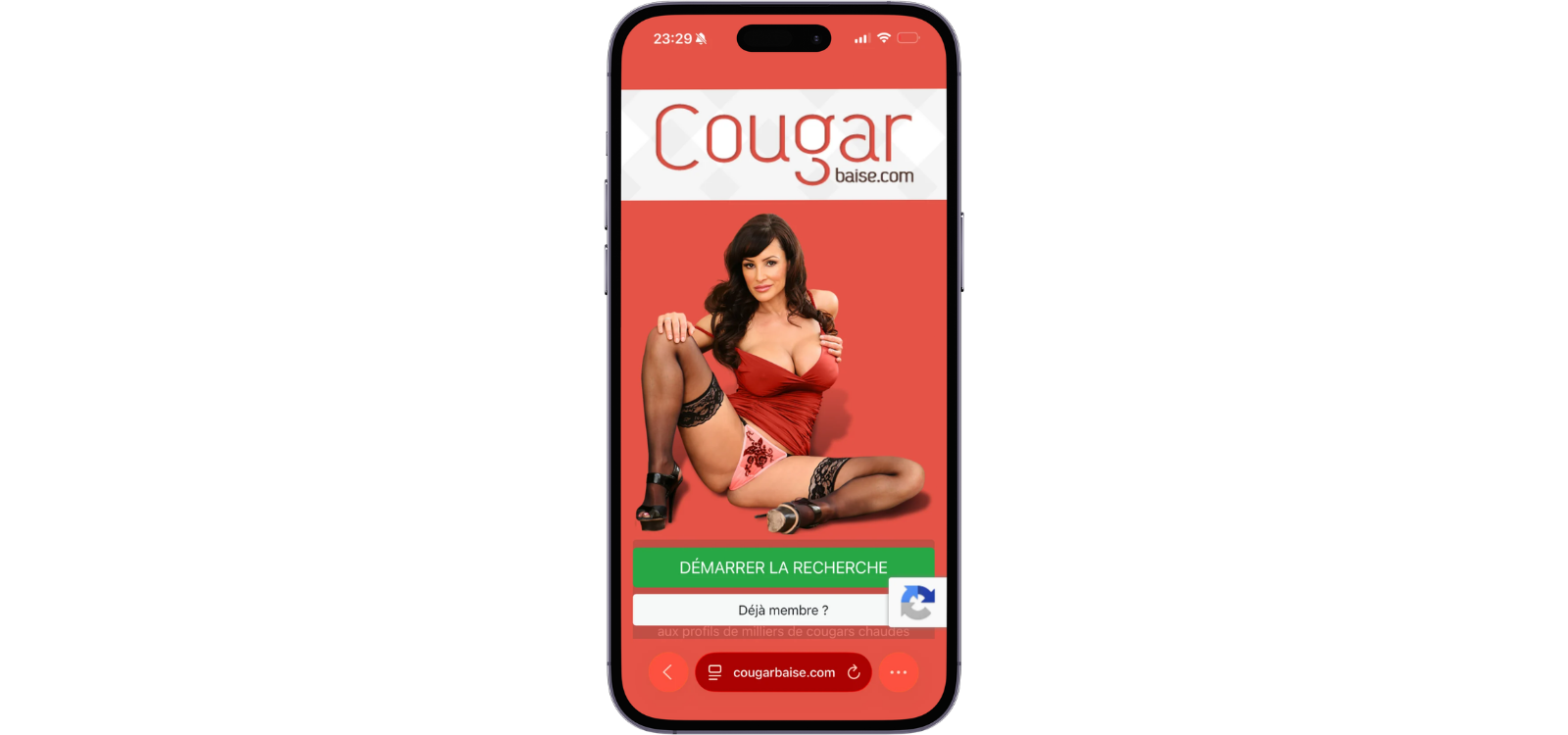 Aperçu de CougarBaise sur smartphone avec page d’accueil et bouton pour démarrer une recherche de rencontres cougar.