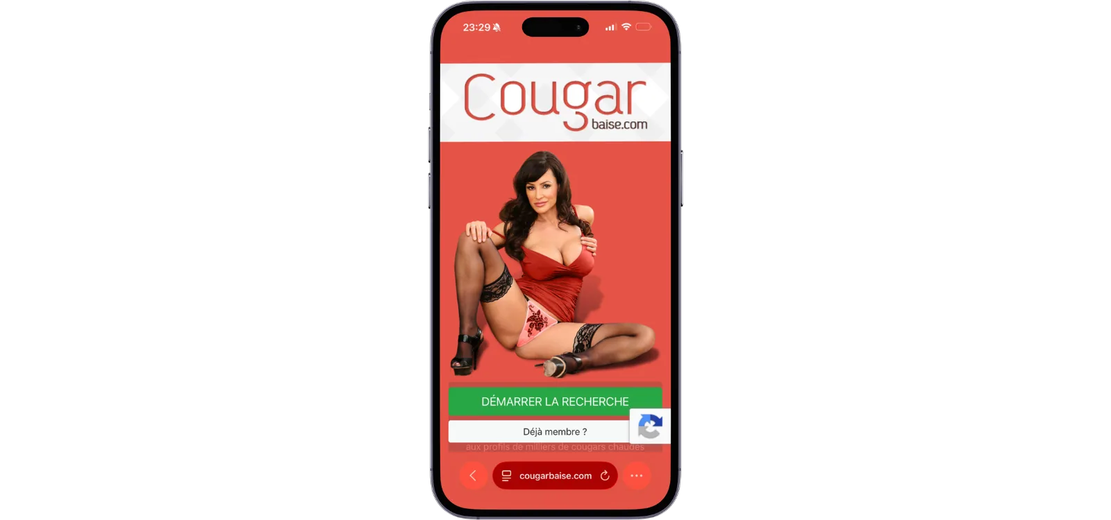 Smartphone affichant CougarBaise, fond rouge, femme en robe rouge et bouton vert de recherche